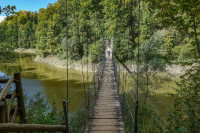 /album/chamey-gruyeres-schweiz-15-september-2025/chamey-gruyeres-15-09-2025-2-jpg/